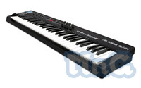 Alesis QX61