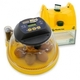 Brinsea Mini Advance EX